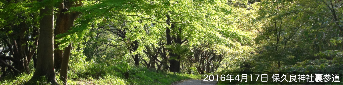 神戸市東灘区、整形外科、リウマチ科、スポーツ専門、赤松クリニックのウェブページの画像。2016年4月17日、保久良神社裏参道